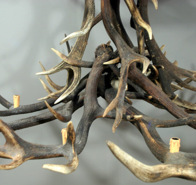 hugh-lamp-made-of-antlers-antler-lamp-374875-en-max