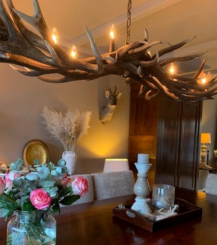 Attractive antler lamp as dining table lighting