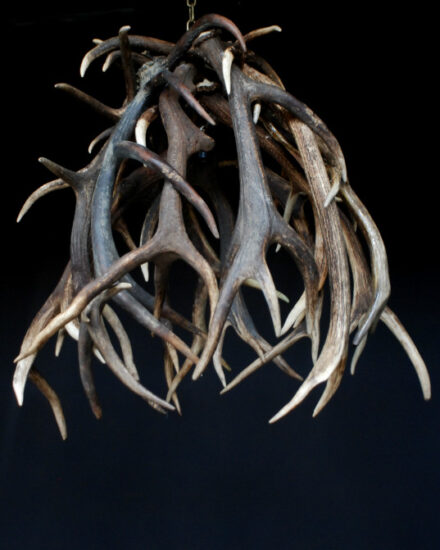 lamp-made-of-red-deer-antlers-1838748-en-max