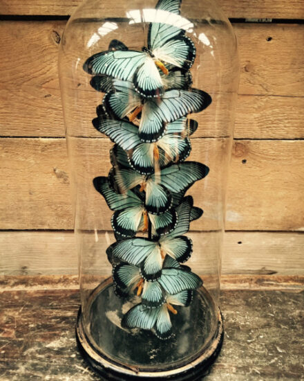 large-antique-bell-with-13-zalmoxis-butterflies-567826-en-max