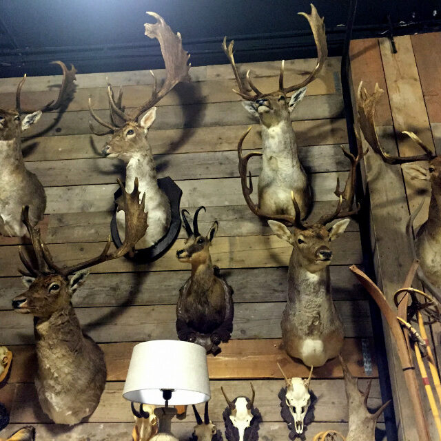 large-collection-of-stuffed-deer-heads-393246-en-max