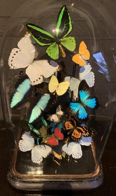 Einzigartige große Glocke, reich gefüllt mit bunten Schmetterlingen