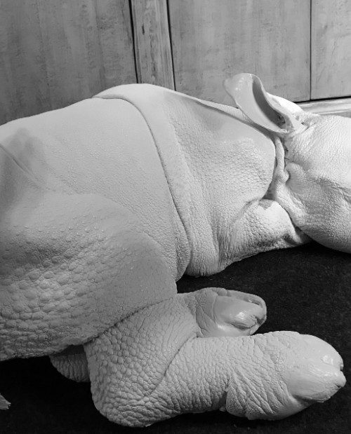 Lifelike replica of a rhinoceros calf