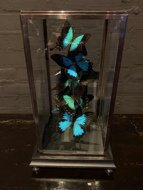 Moderne Glocke mit Schmetterlingen in Petrolfarben