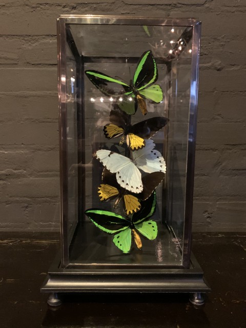 Moderne stolp met diverse vlinders