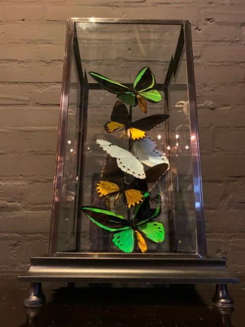 Moderne Glocke mit verschiedenen Schmetterlingen.