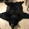 Neue AA Klasse Fell eines großen schwarzen Bären.