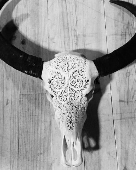 new-bleached-and-carved-water-buffalo-skulls-405306-en-max