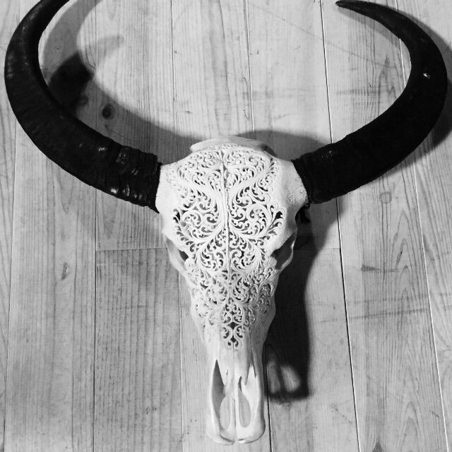 new-bleached-and-carved-water-buffalo-skulls-405306-en-max