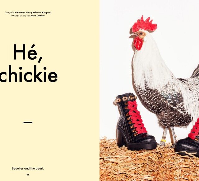 our-chicken-are-modelling-in-the-latest-issue-of-c-1825797-en-max