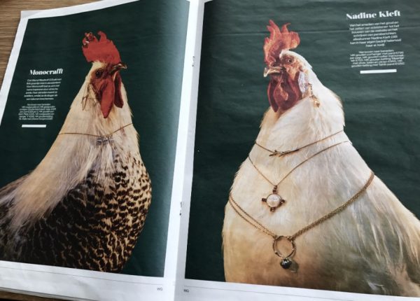 Our Chickens used for a photoshoot in the newspaper