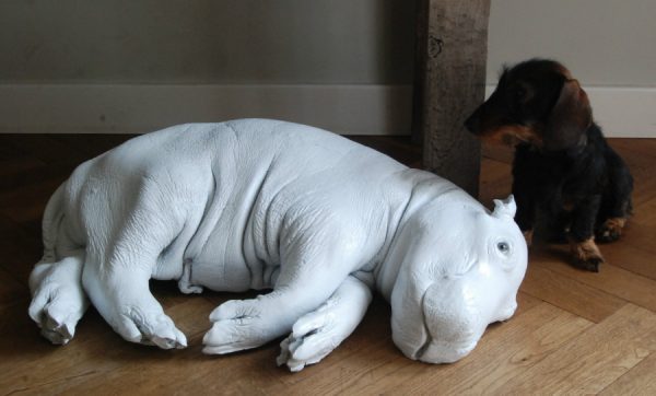 With coated replica of a hippo calf