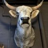 SM 500-B, Impossing head of a Hungarian steppen bull