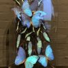 Special antique bell jar filled with blue butterflies