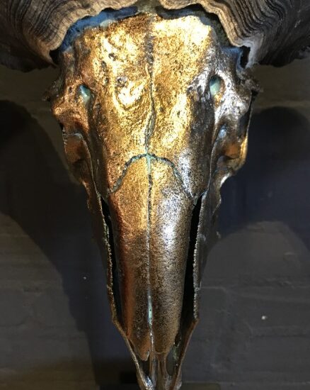 special-high-grade-metallized-dark-gold-skull-of-a-tibetan-ram-942507-en-max