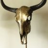 Bijzondere hoogwaardige gemetalliseerde (brons) schedel van een yak
