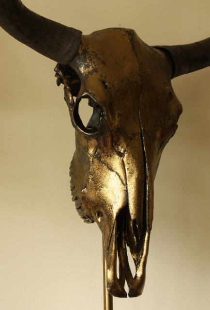 Besonders hochwertiger metallisierter (Bronze) Schädel eines Yaks