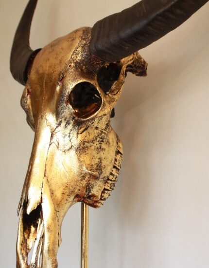 special-high-quality-metallized-gold-skull-of-a-water-buffalo-942453-en-max