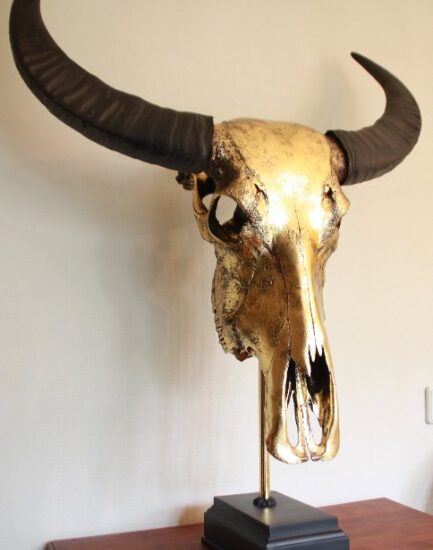 special-high-quality-metallized-gold-skull-of-a-water-buffalo-942454-en-max