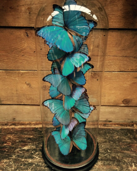 special-very-large-antique-bell-with-13-didius-morpho-butterflies-567834-en-max