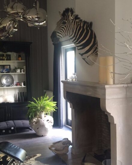 taxidermy-zebra-head-in-nice-interior-813440-en-max