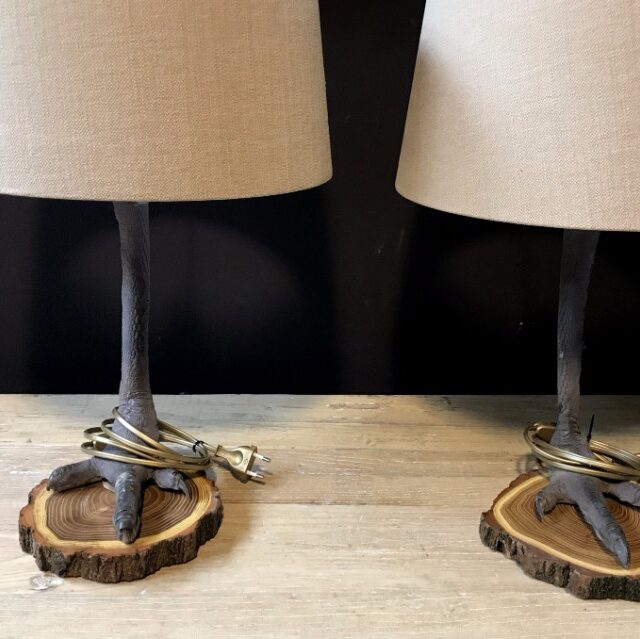 unique-lamps-made-of-ostrich-paws-819379-en-max