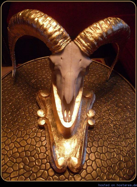 Very exclusive golden skull of a mouflon.