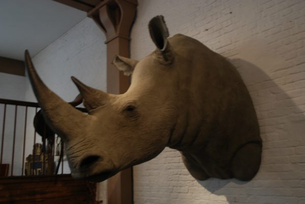 Very lifelike replica of a white Rhino.