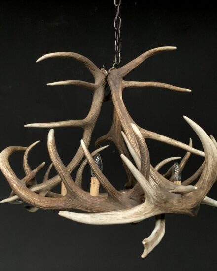 very-nice-antler-chandelier-made-from-red-stag-antlers-1838688-en-max