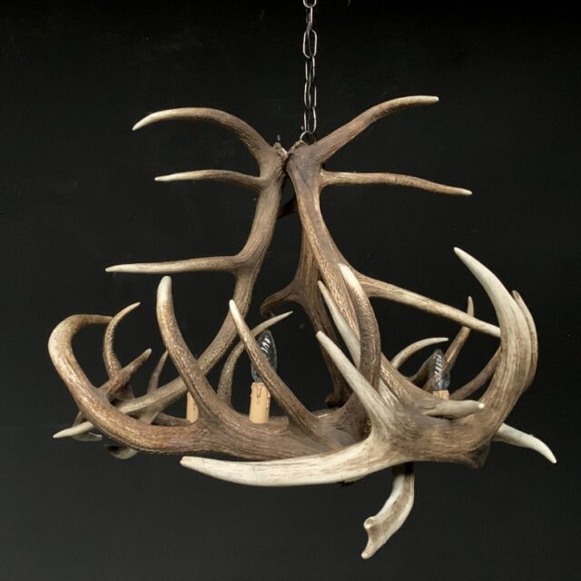 very-nice-antler-chandelier-made-from-red-stag-antlers-1838688-en-max