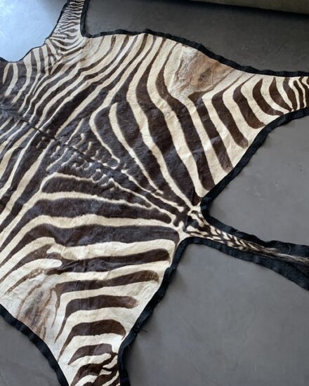 vintage-zebraskin-with-velvet-layer-2928620-en-max