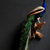Stylish stuffed peacock.