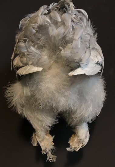 vo-435-a-taxidermy-half-chickens-1276373-en-max