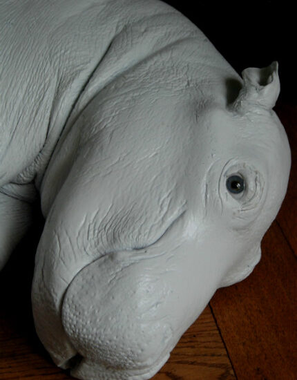 with-coated-replica-of-a-hippo-calf-1050198-max-1