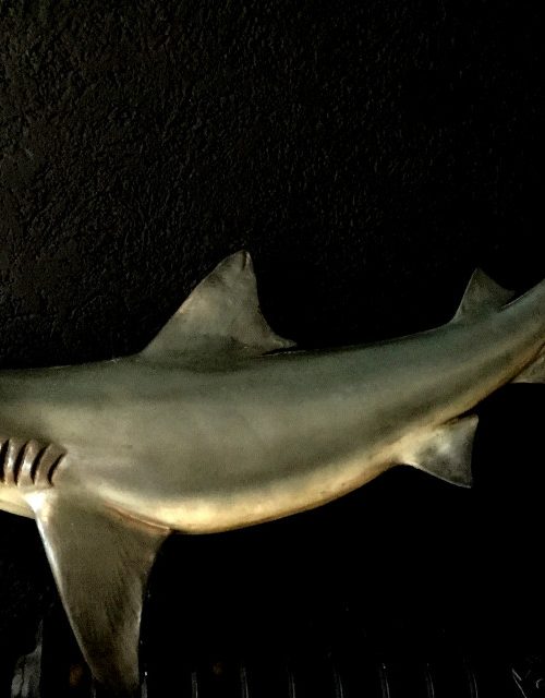 Prachtige natuurgetrouwe replica van een haai
