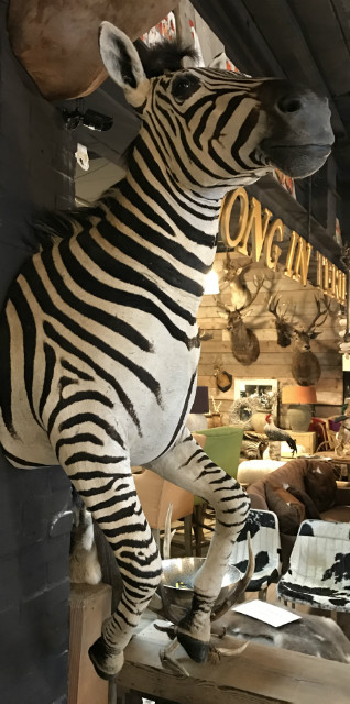 Zebra half mount