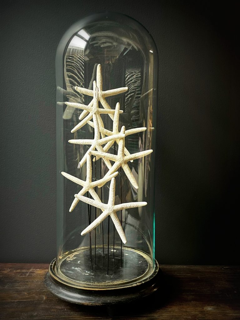 Antique dome with starfish