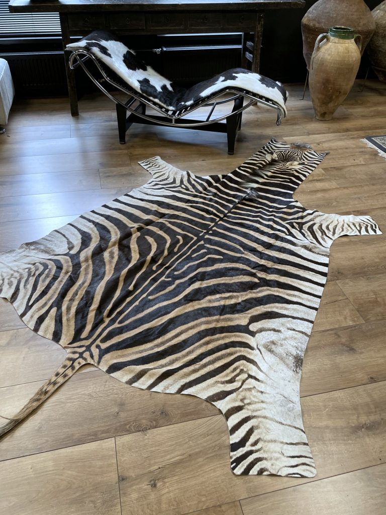 Zebra skin