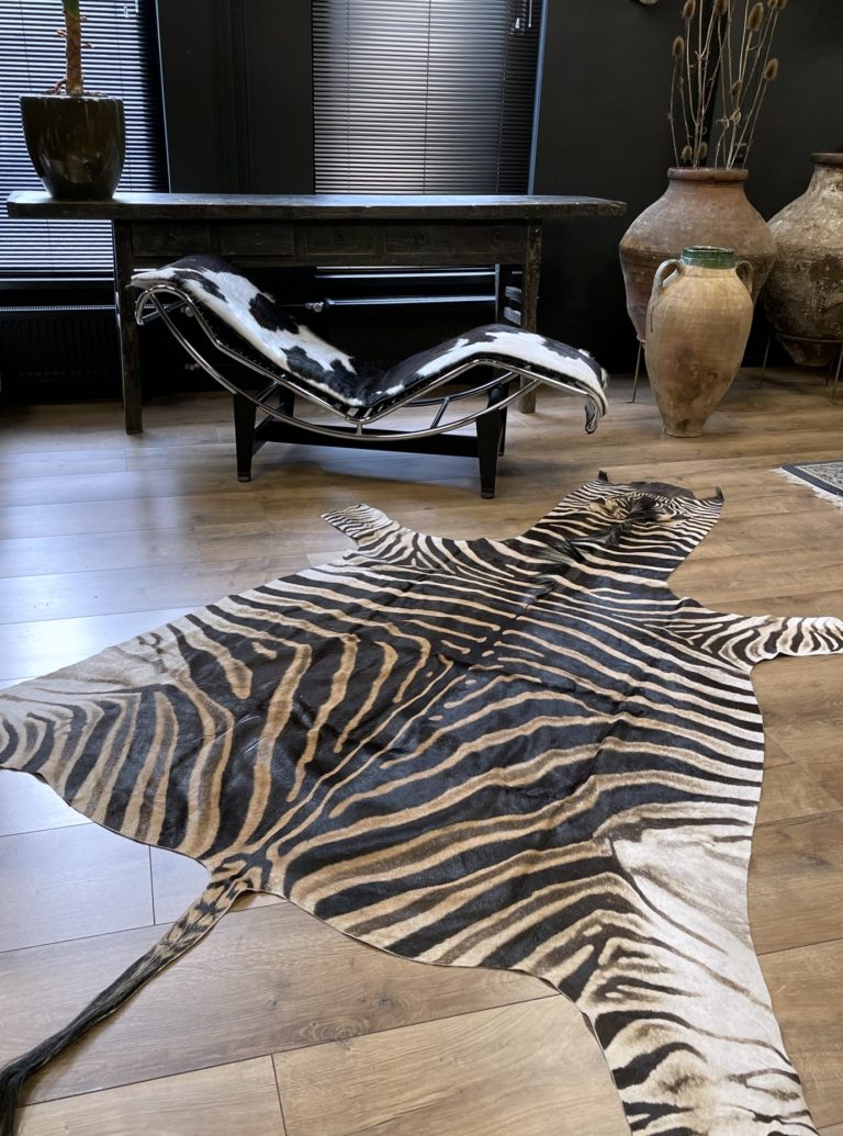 Zebra hide