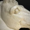 Antiek gipsen paardenhoofd