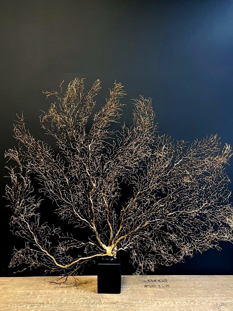 Decorative sea fan XXL