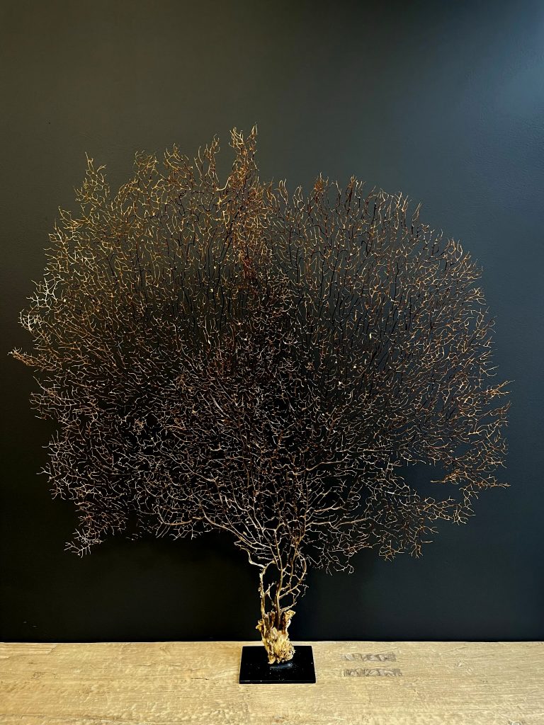 Decorative sea fan XXL