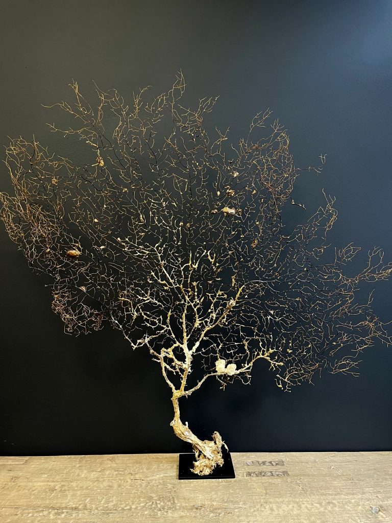 Decorative sea fan XXL