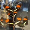 Moderne vlinderstolp met vlinders