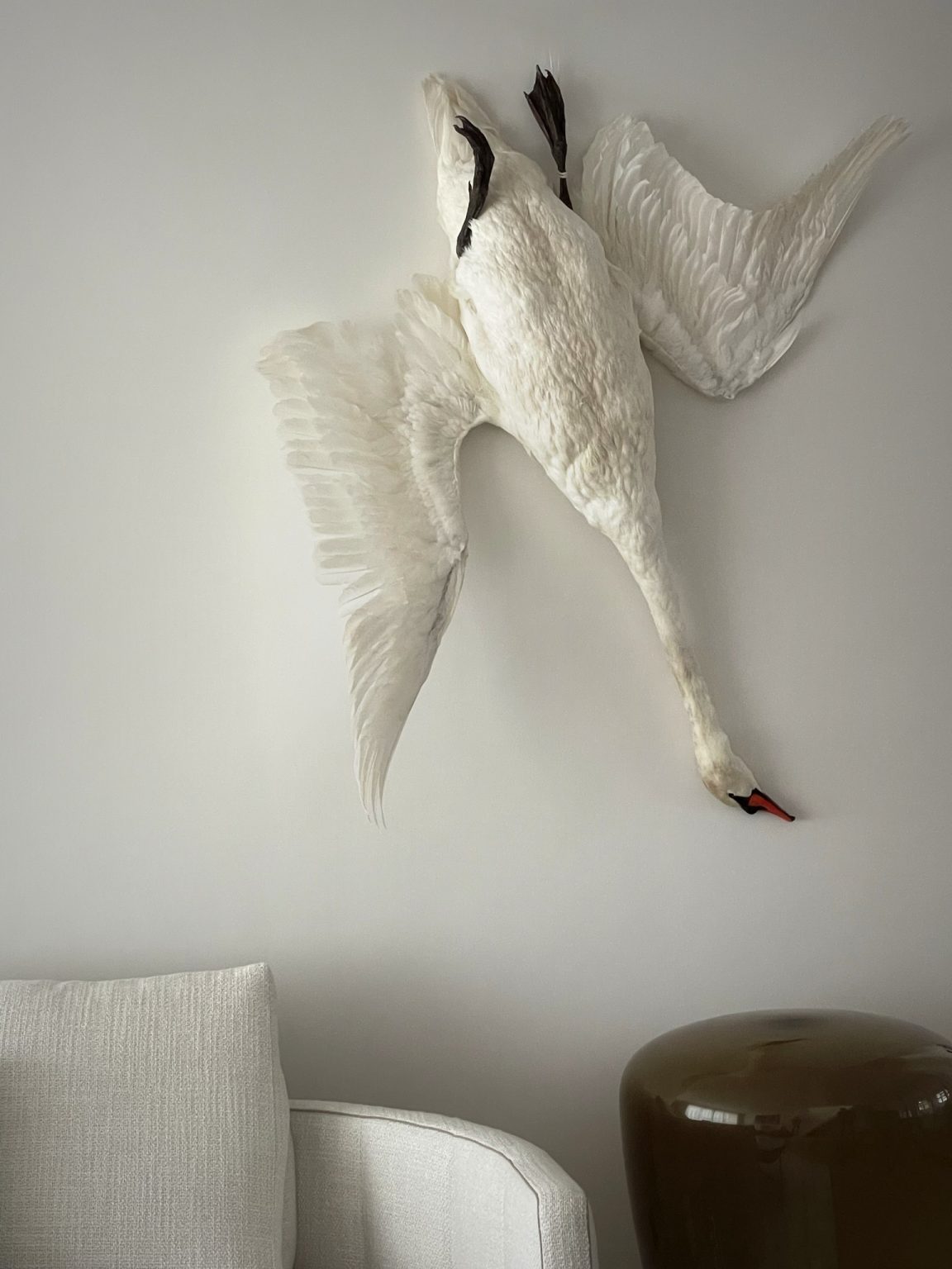 swan taxidermy Archives - BEAST Interiors