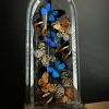 Antieke stolp met een mix van kleurrijke vlinders