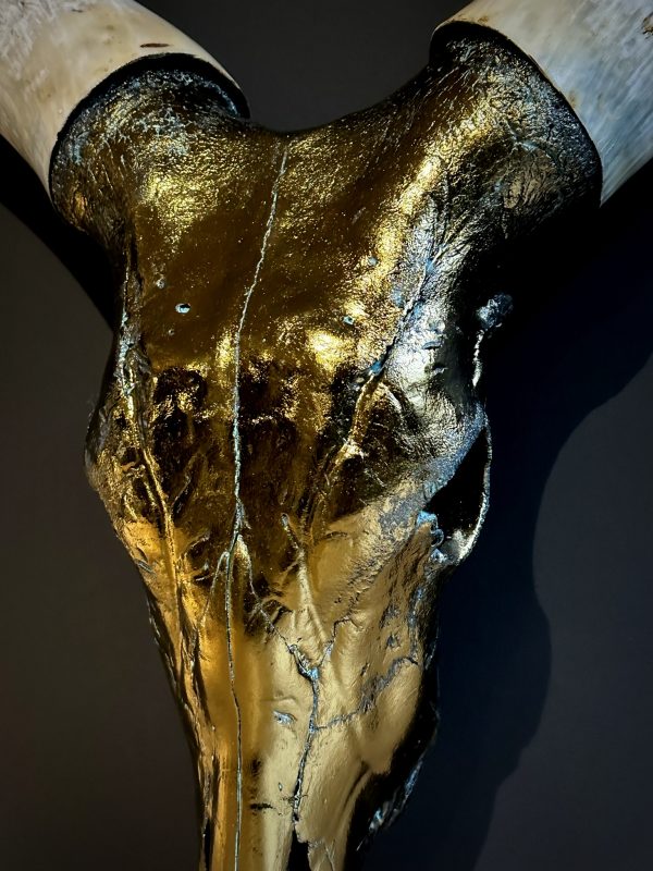 Brons gemetalliseerde schedel van een Watusi stier