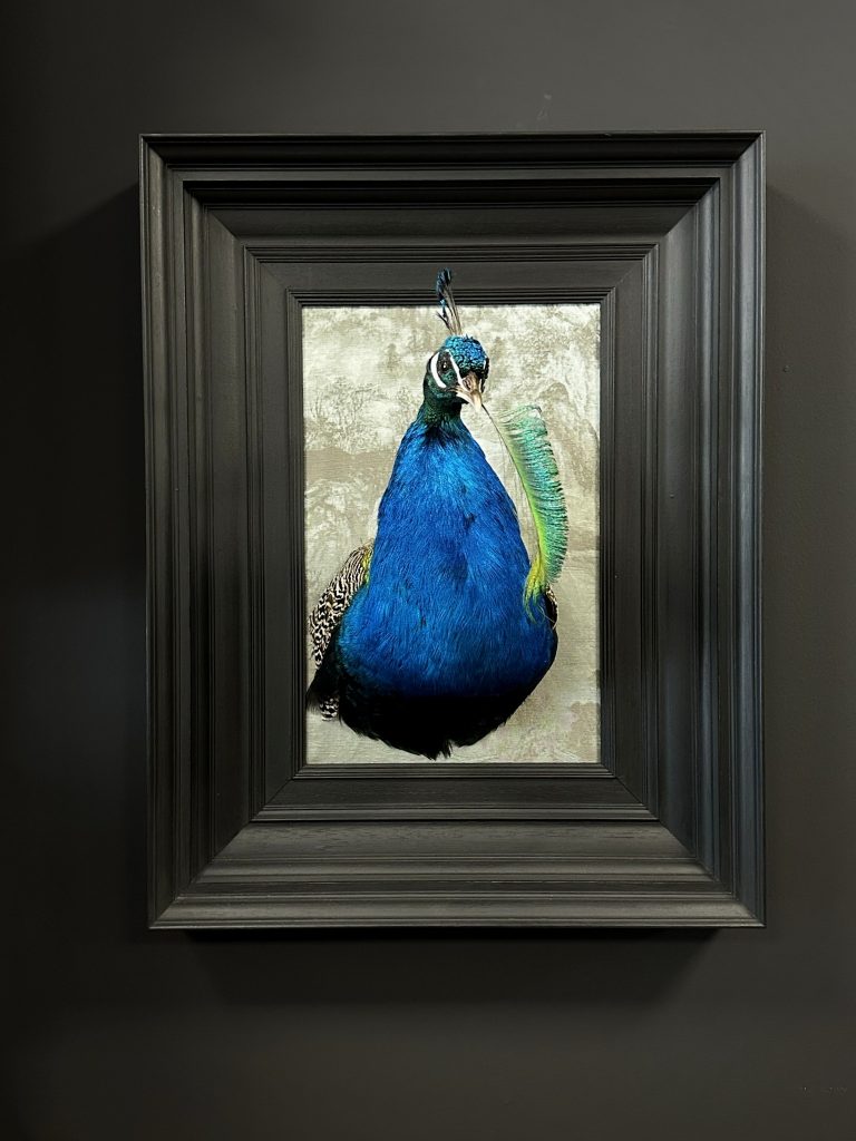 Kunstwerk Pfau im Rahmen.