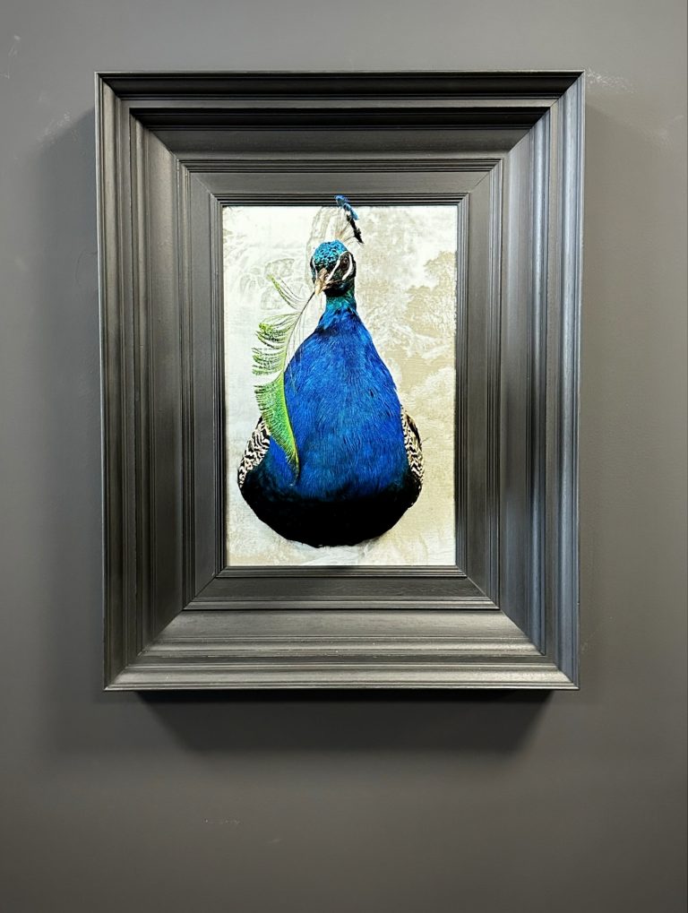 Kunstwerk Pfau im Rahmen.