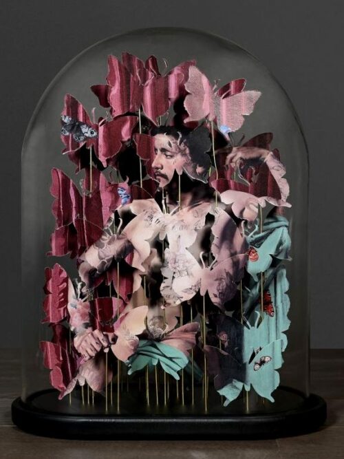 Anamorphosis "The Dandy" under Glass Dome